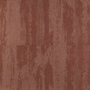 Shoreline 65038